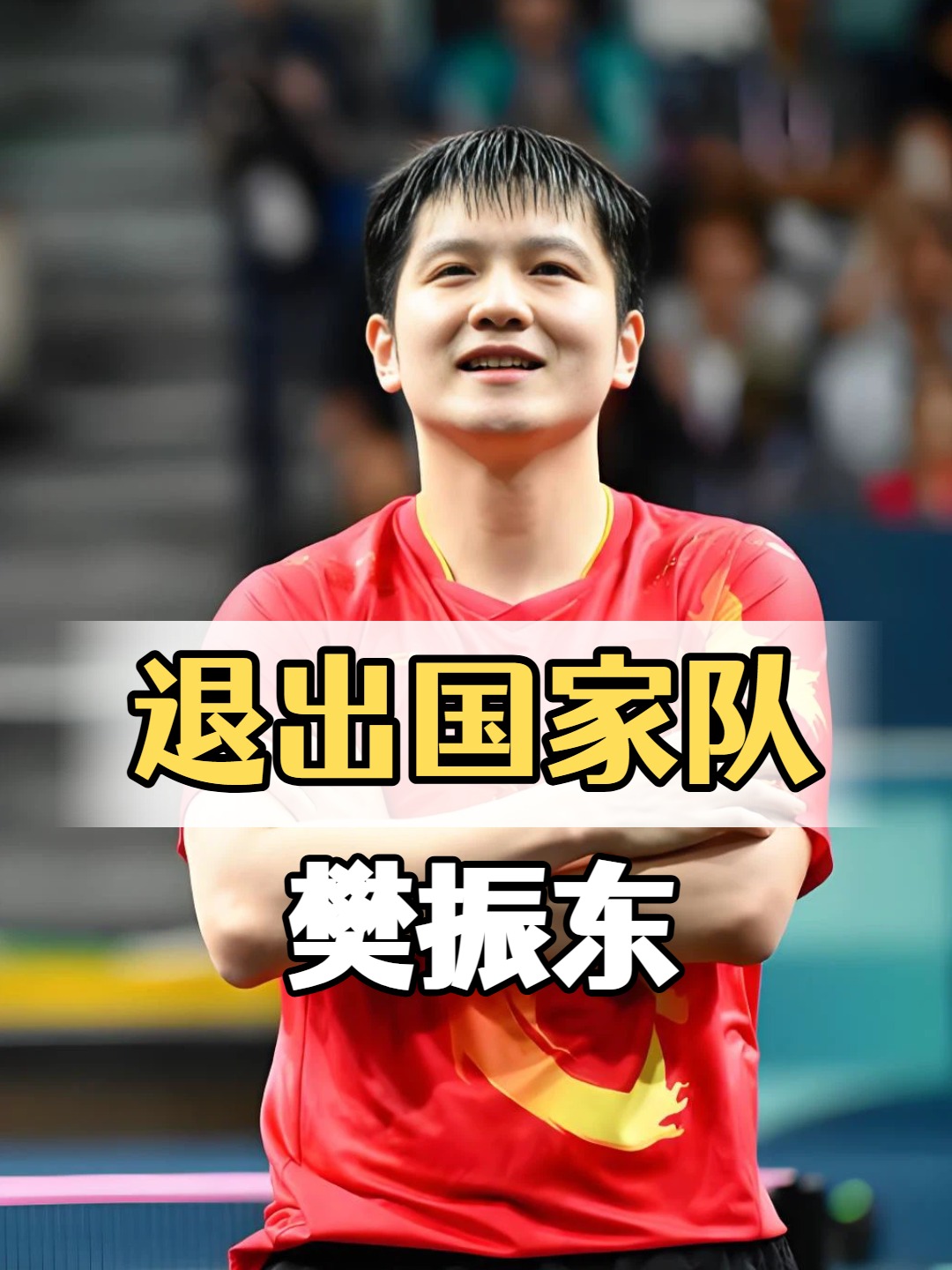 中国队逆转德国队，樊振东刷新纪录的简单介绍