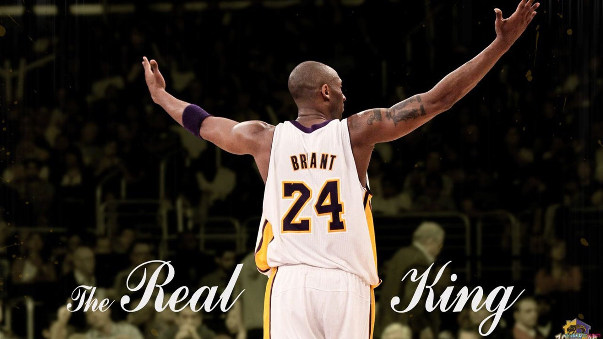 骑士末节带走国王，文班亚马成为关键先生，新星如何定义比赛